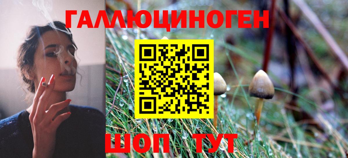 Котлас  Галлюциногенные грибы ЛСД  Вход с VPN 